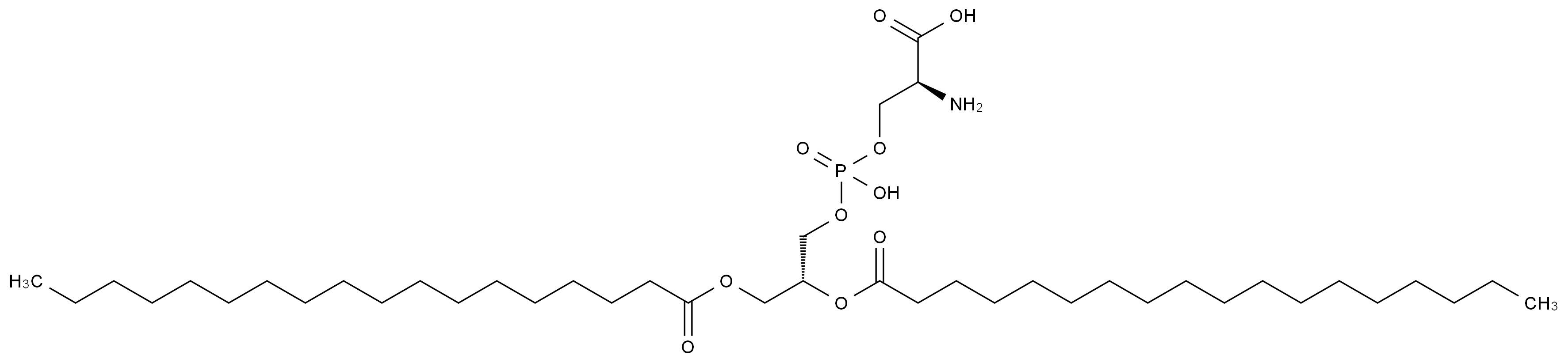[51446-62-9] L-α-磷脂酰-L-絲氨酸