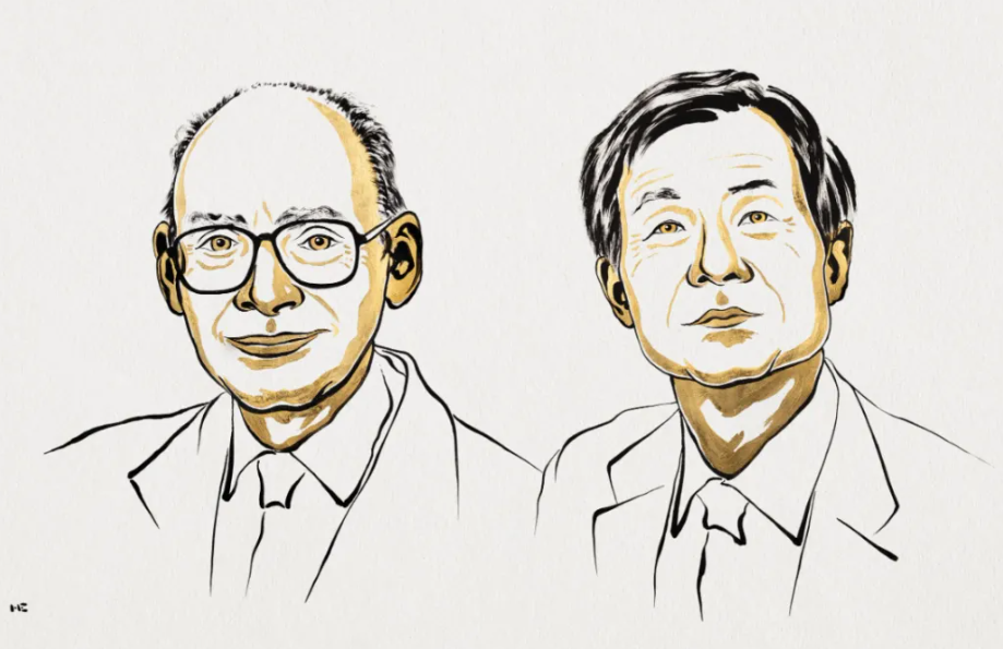 2026诺贝尔化学奖颁给了"左右手"：同一个分子，药效为何天差地别